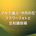 スマホで選ぶ“今月の花”：フラワーフォトと豆知識投稿